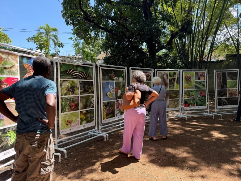 Haïti Sauvage 2025 : Une célébration immersive de la biodiversité haïtienne